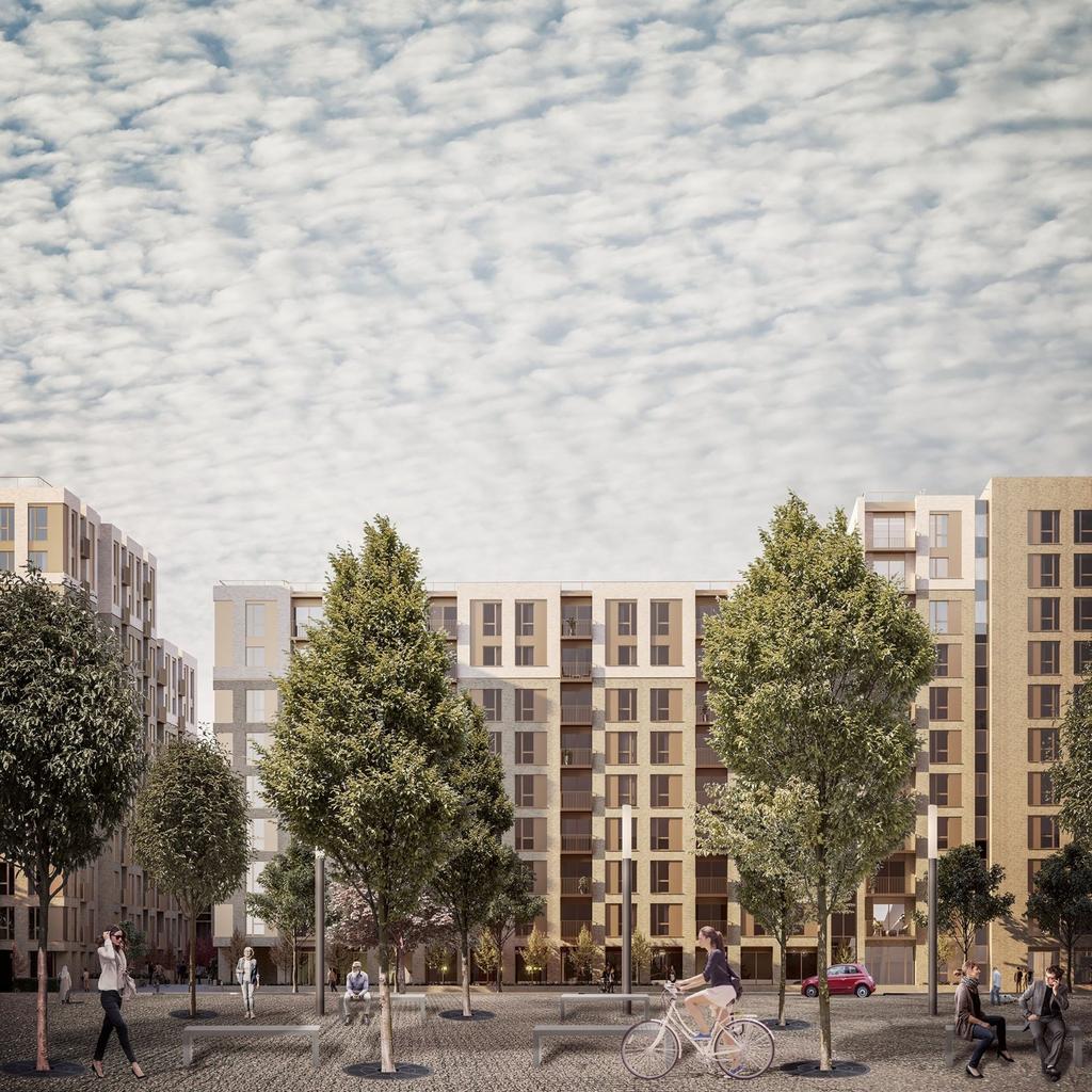 Building Cgi