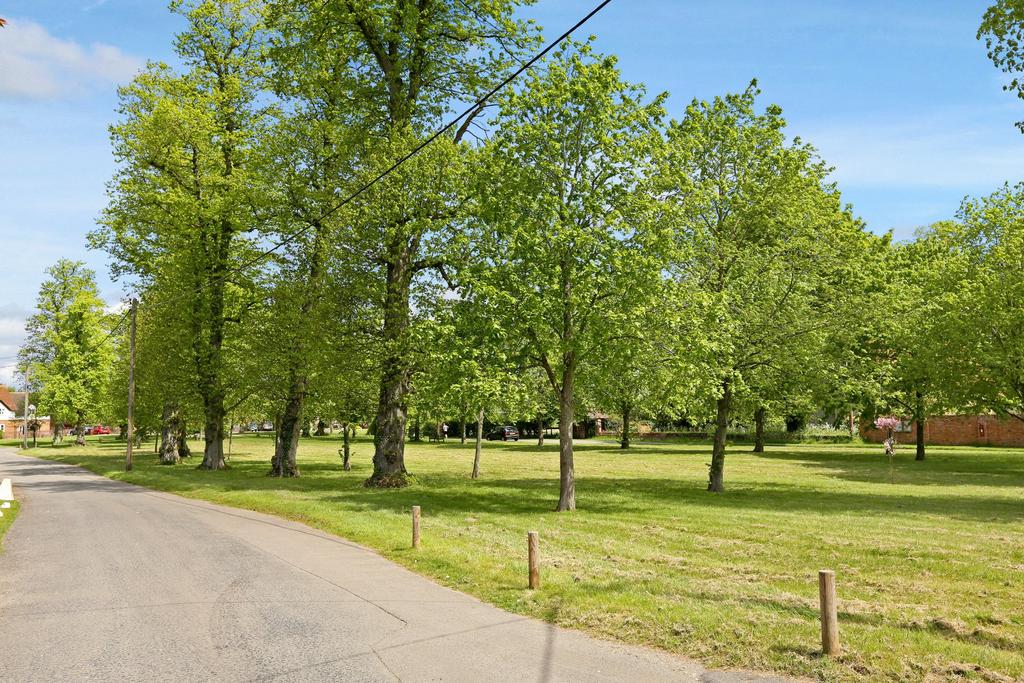 Street Scene