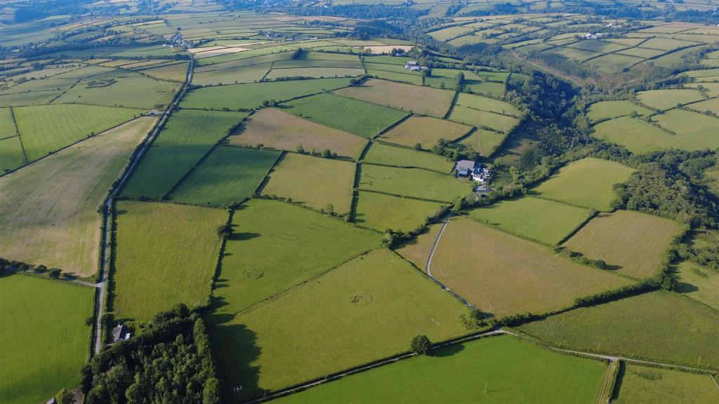 The land