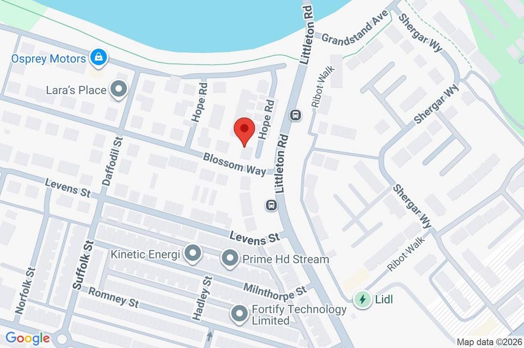 Immediate Area