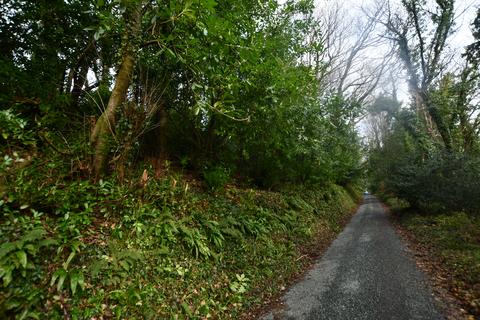 Woodland for sale, Llandygwydd, Cardigan SA43