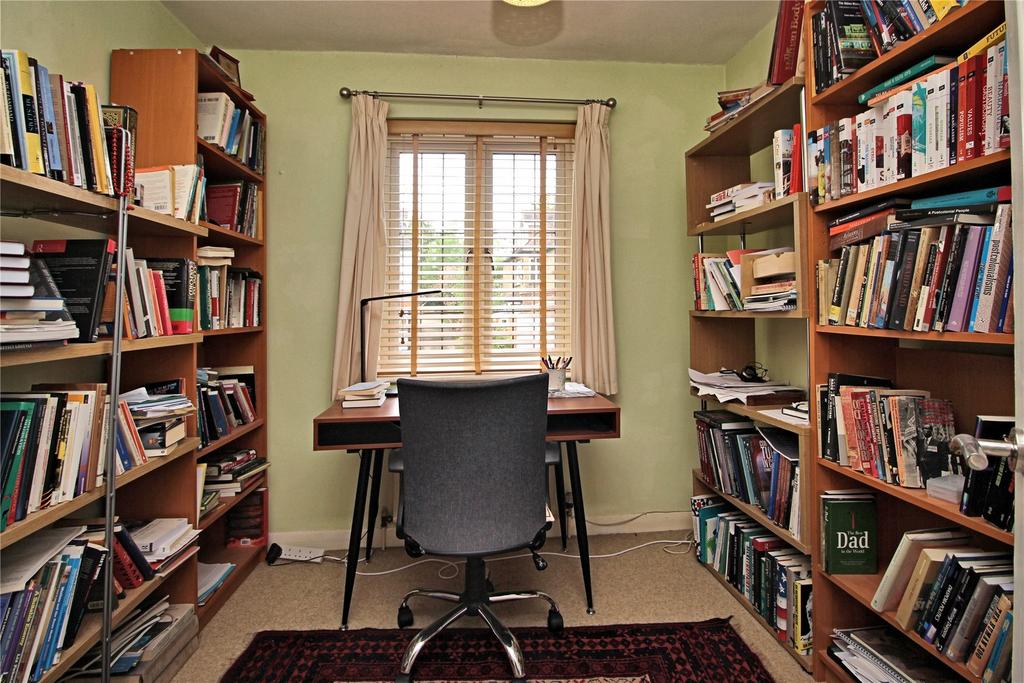 Study Area