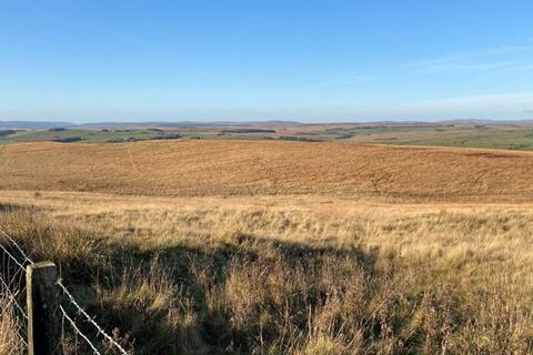 undefined, Elsdon, Newcastle upon Tyne, Northumberland, NE19