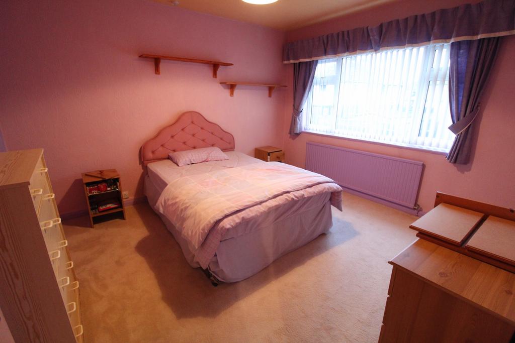 Img 7541.jpg