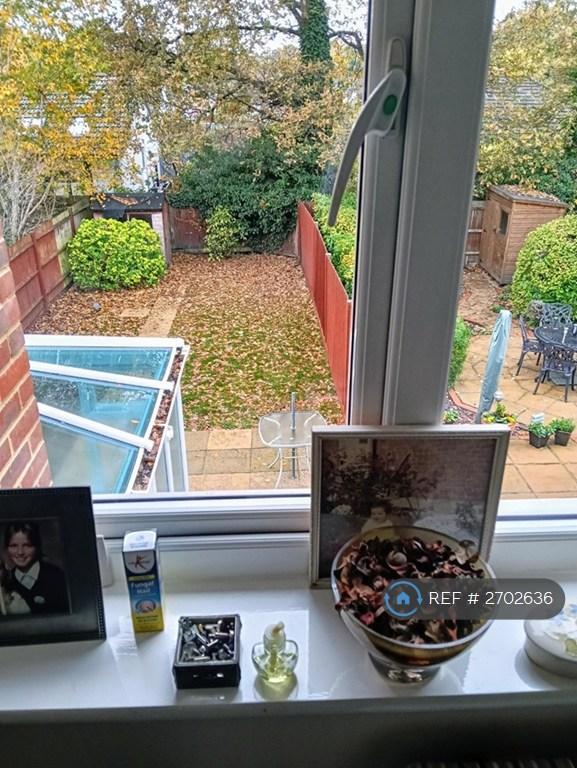 View From Box Room