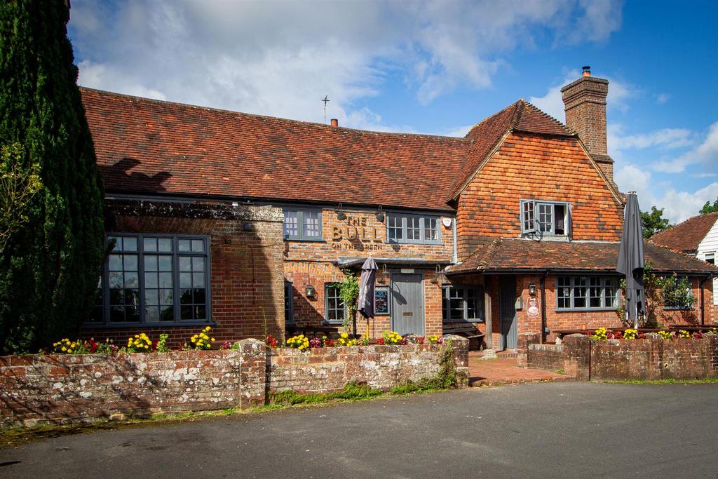 The Bull Newick.jpg
