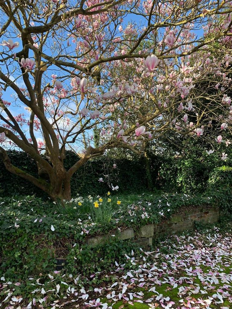 Garden Area.jpg