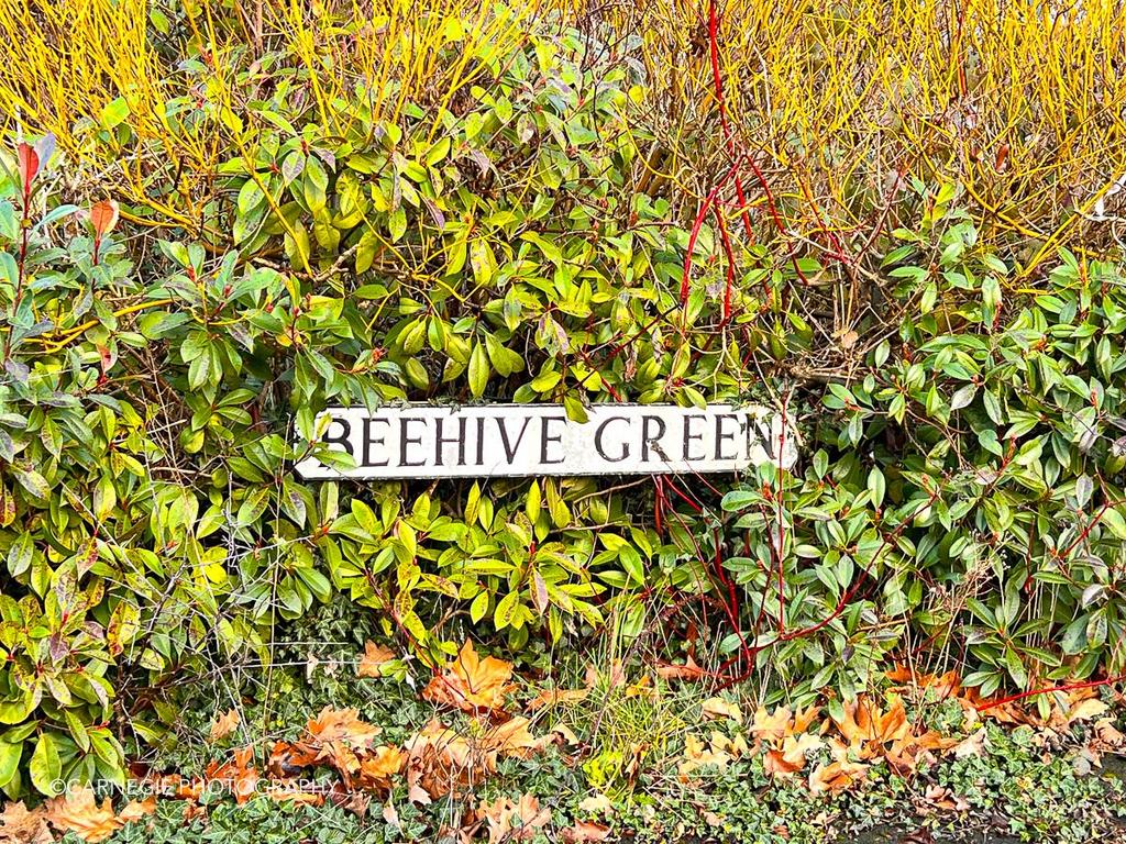 Beehive Green