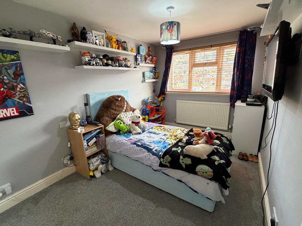 Picture 7