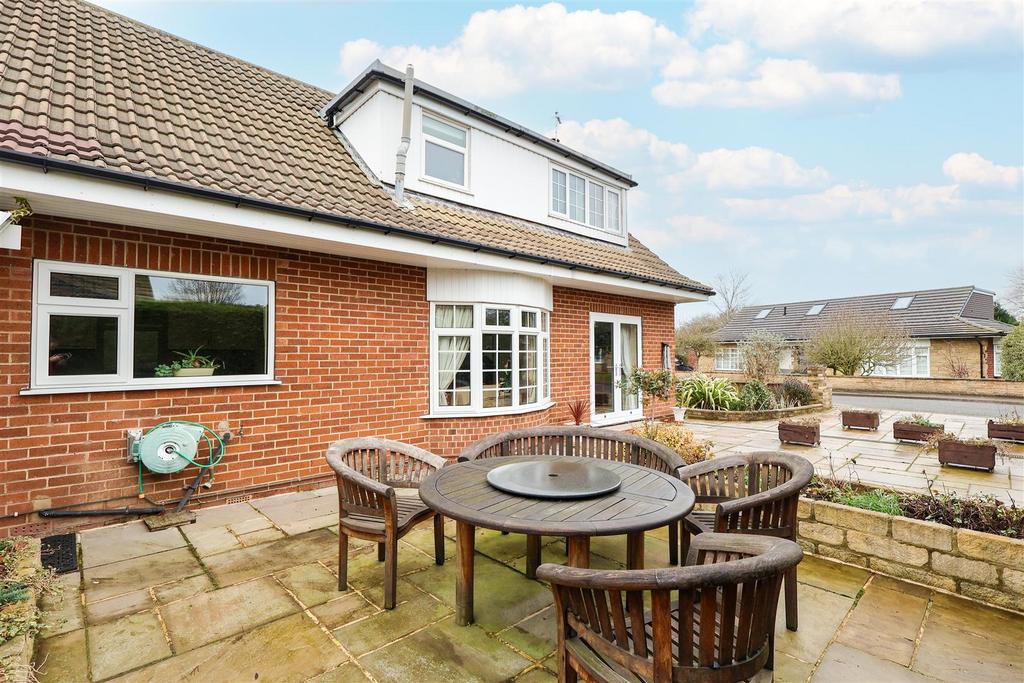 IMG 0302 copy.jpg