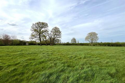 undefined, Muzzle Patch, Tibberton, Gloucester