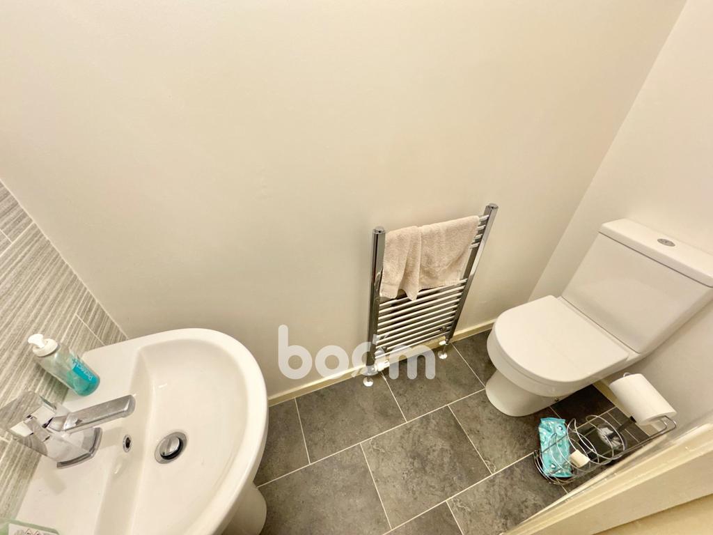 Img 0641