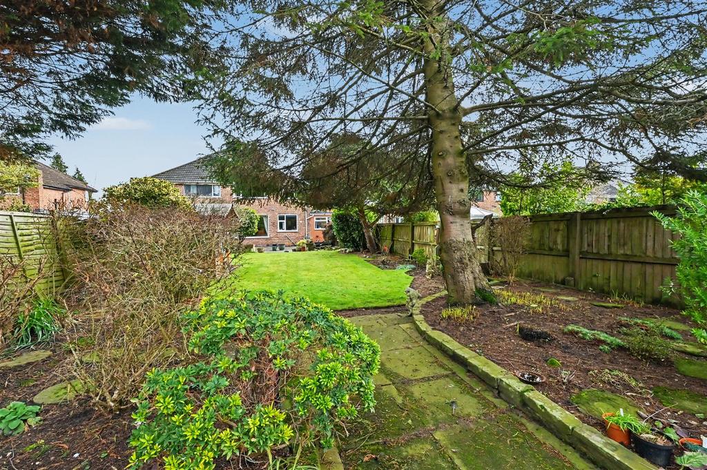 Garden 11 DP.JPG