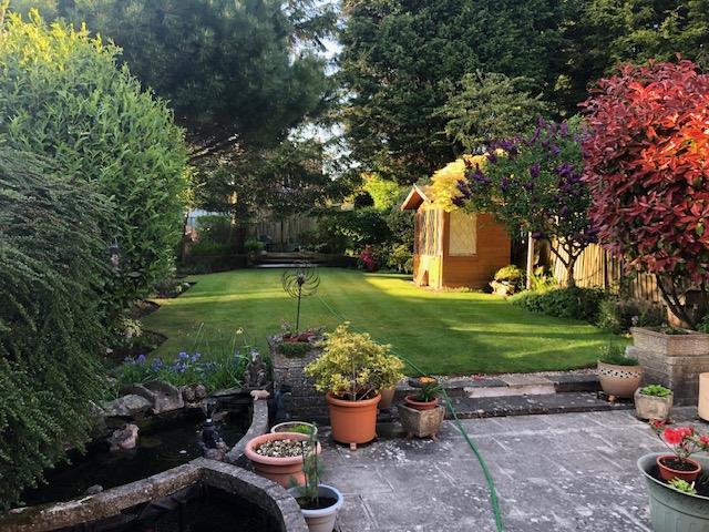 Garden spring.jpeg
