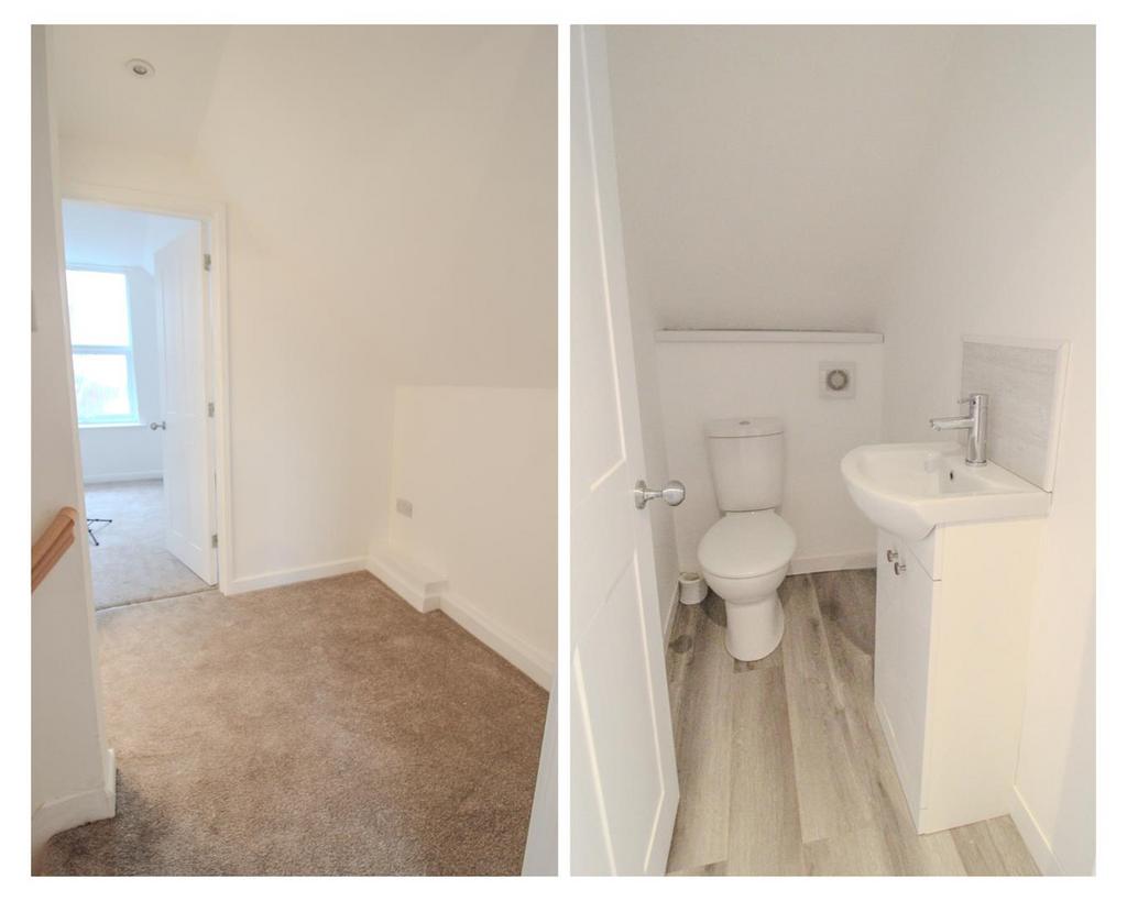 Your paragraph text (1).png