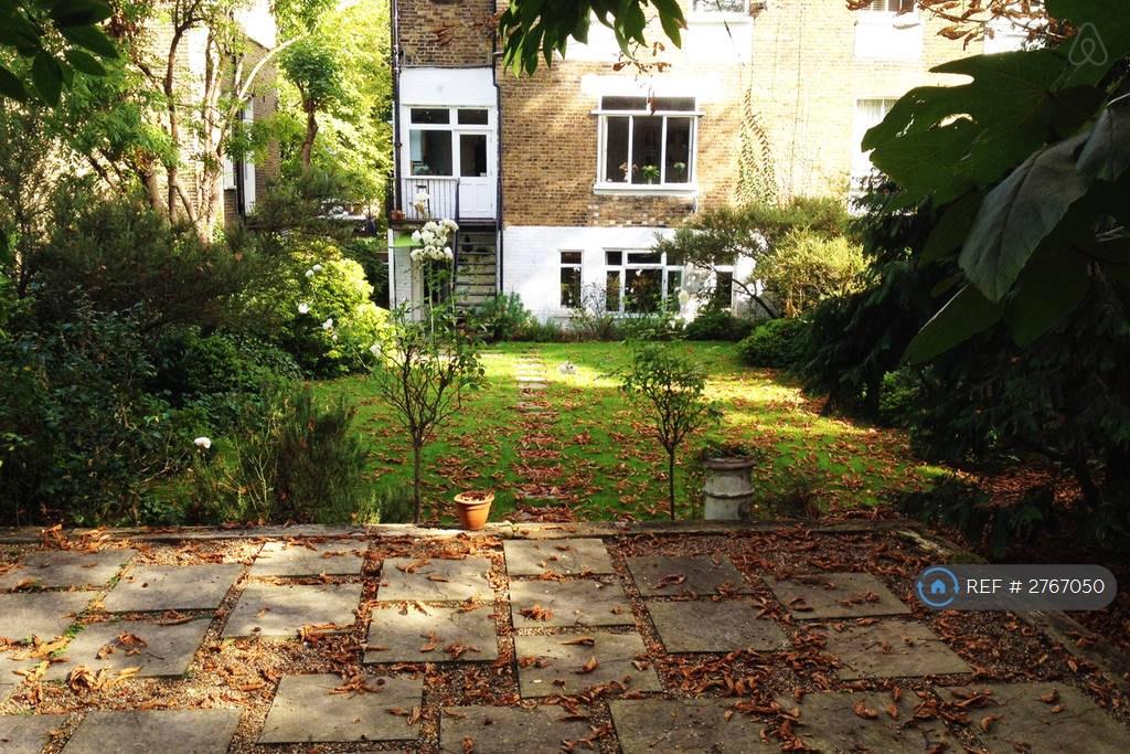 Back Garden