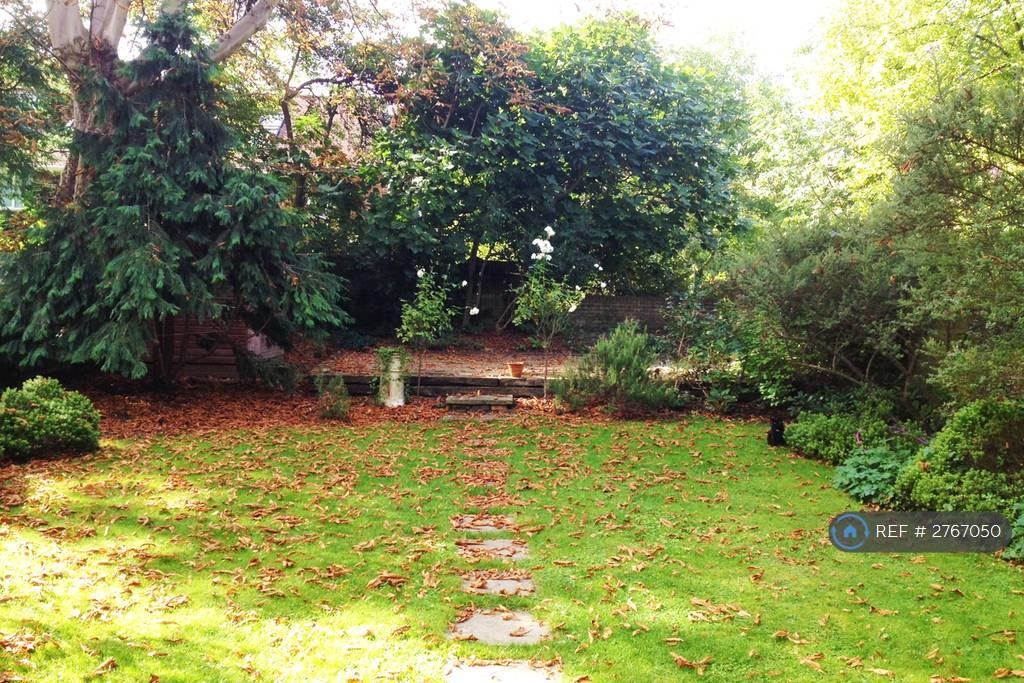 Back Garden