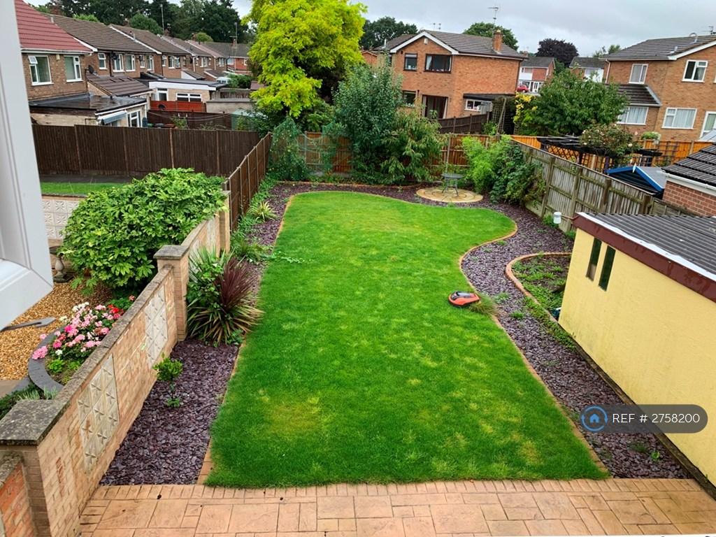 Back Garden