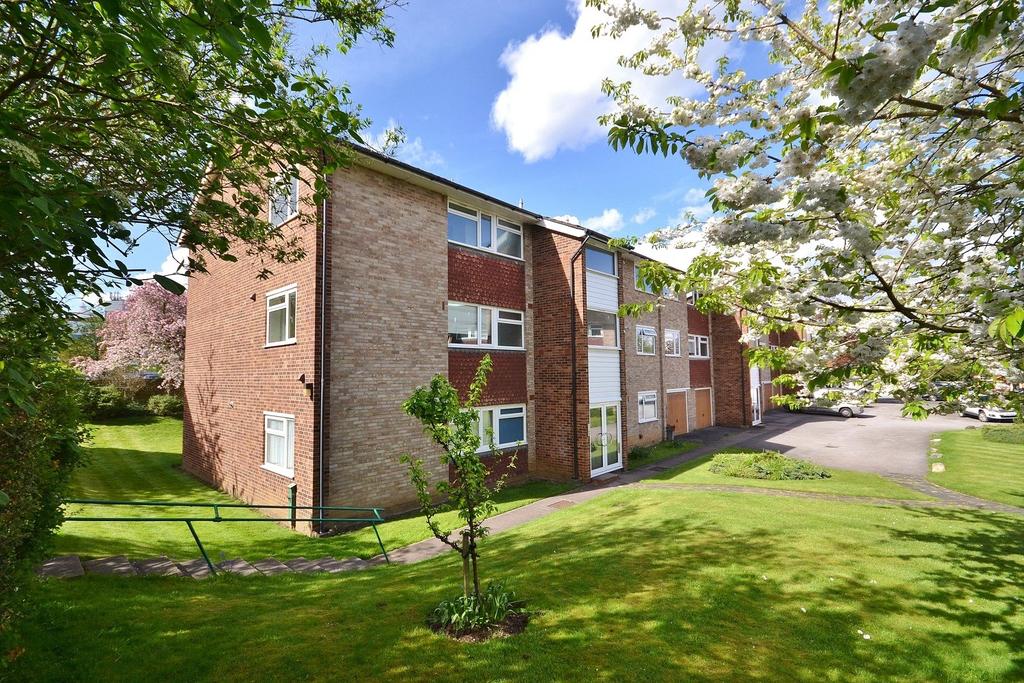 Rear View of Flats
