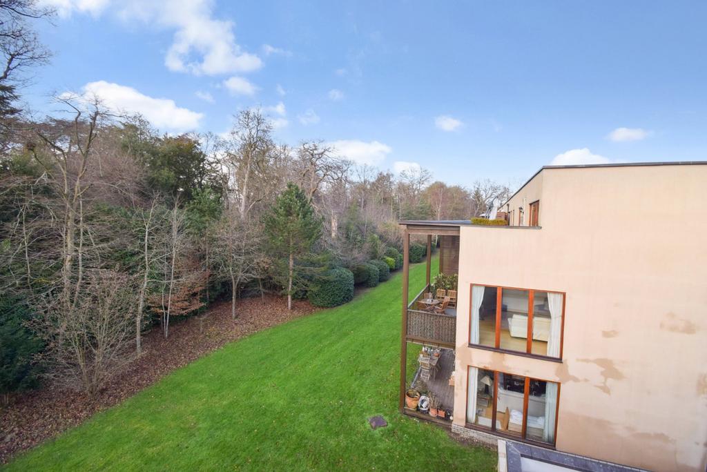 Terrace View