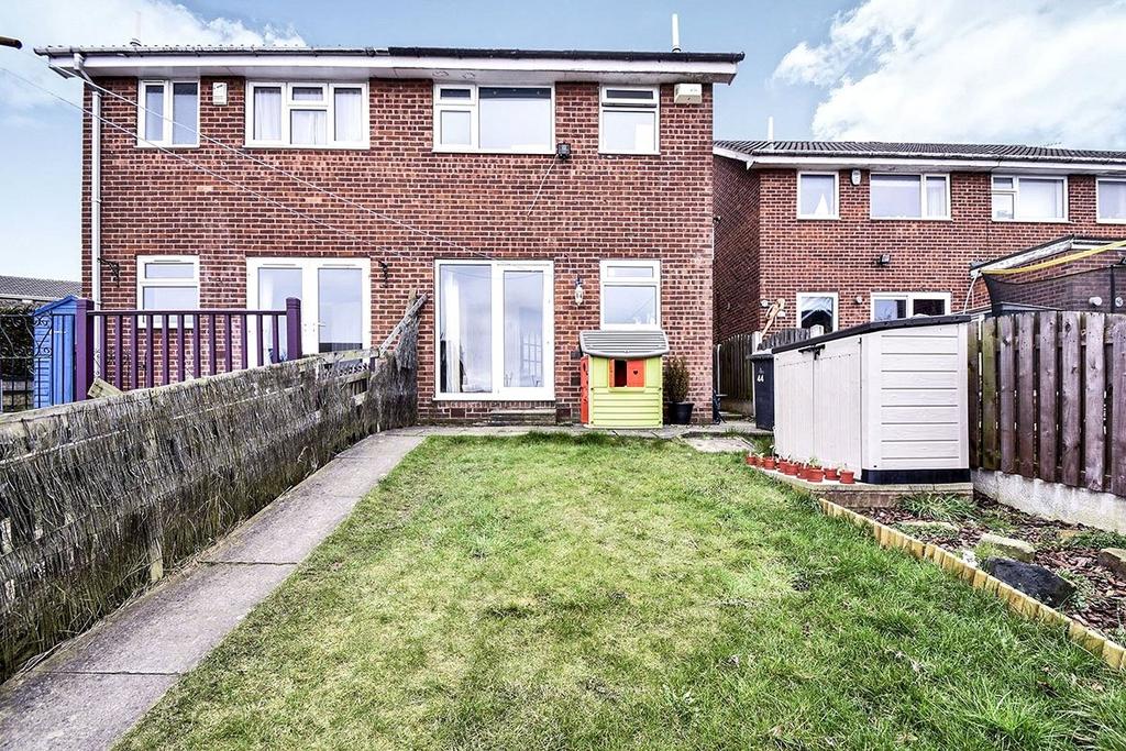 Back Garden