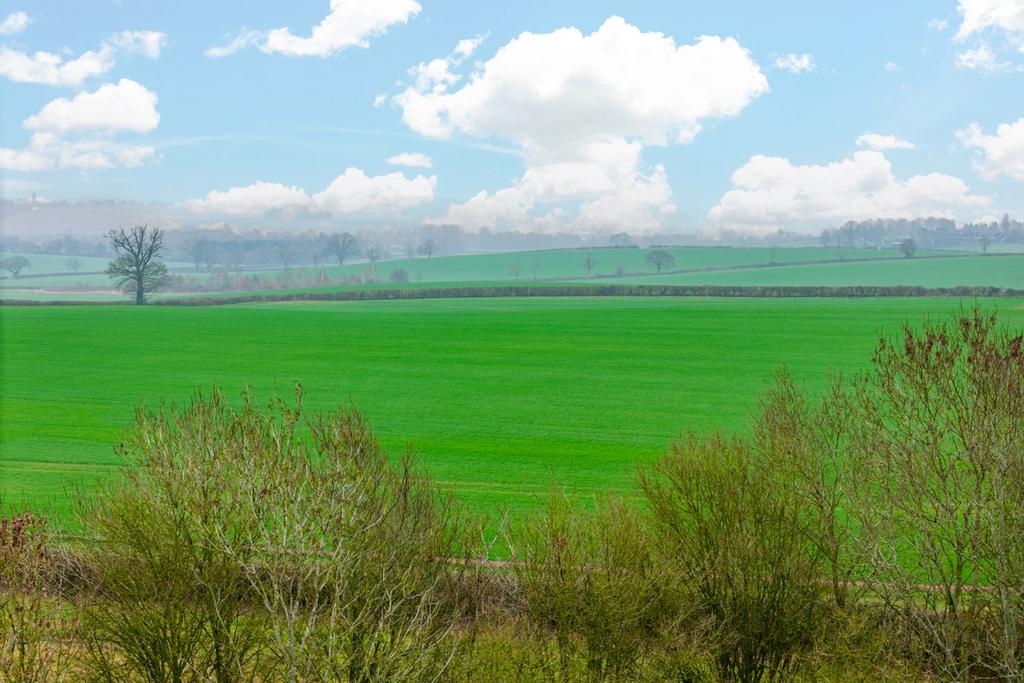 Adjacent Countryside