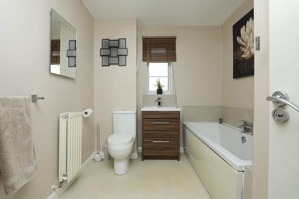 Picture 15