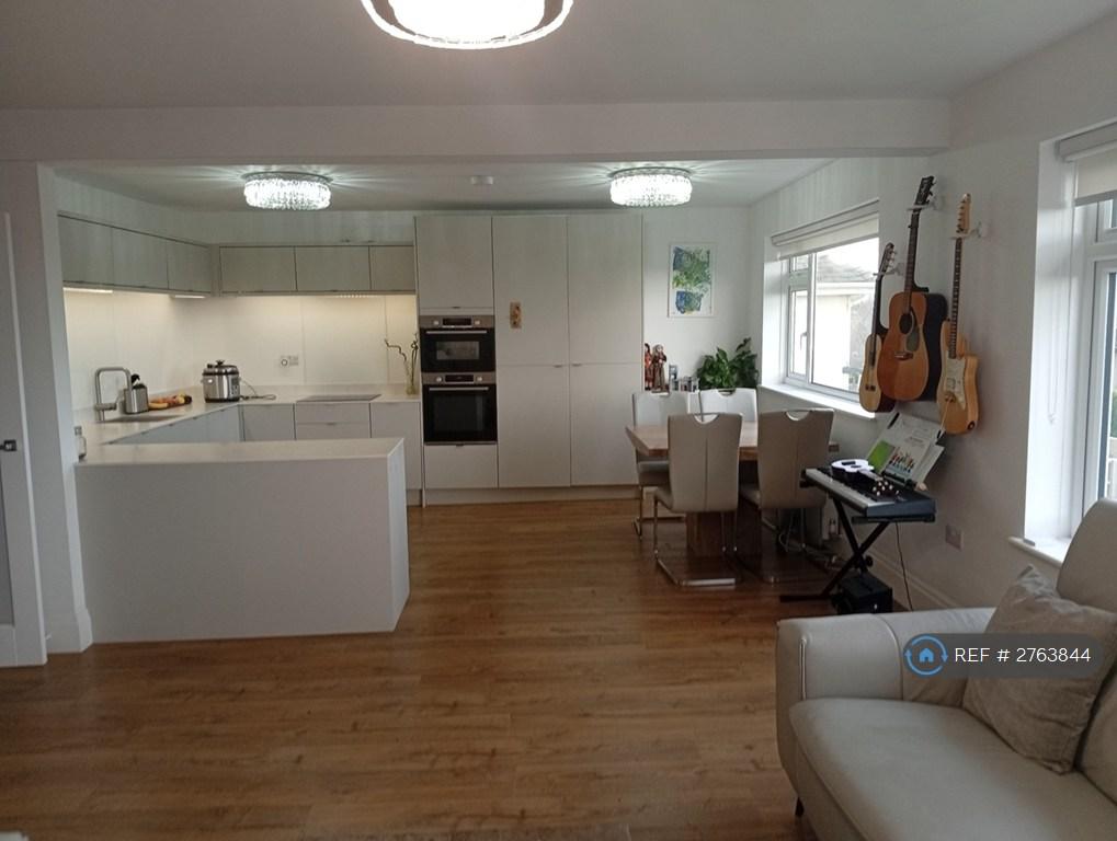 Living Room - Kitchen