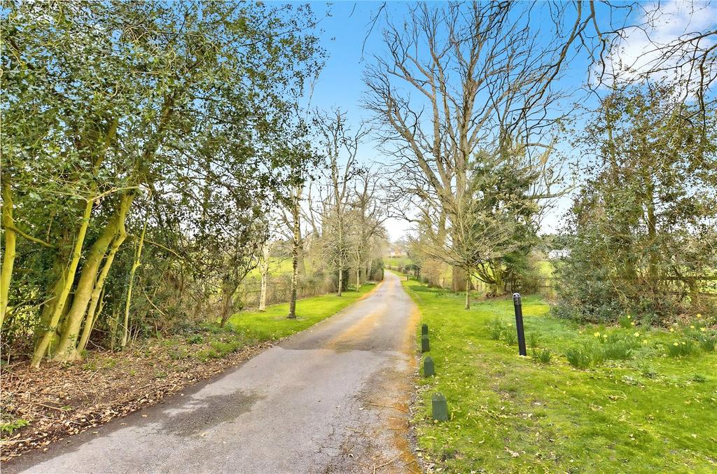 Driveway
