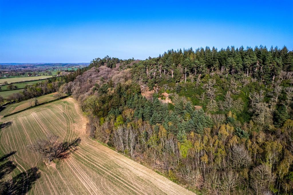 DJI 0107.jpg