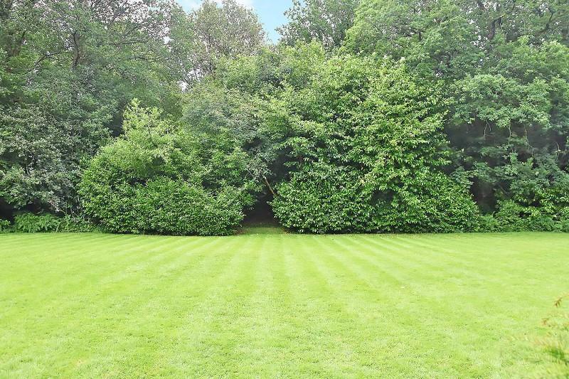 Communal Gardens