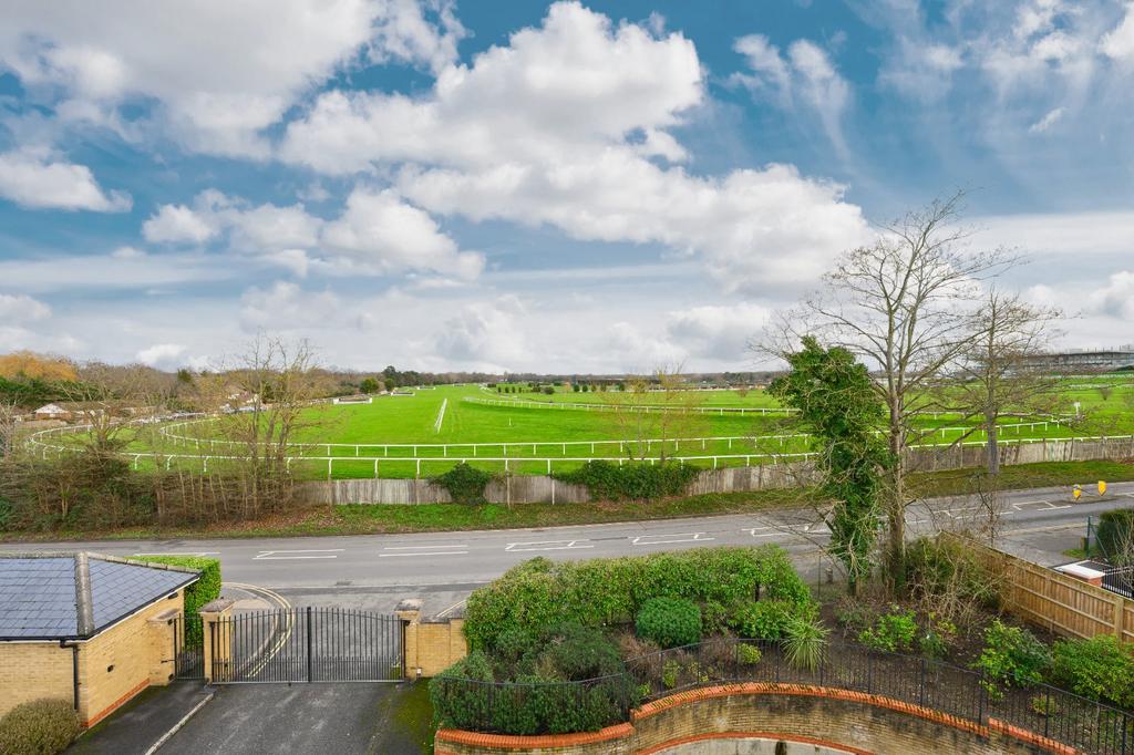 Views Over Sandown