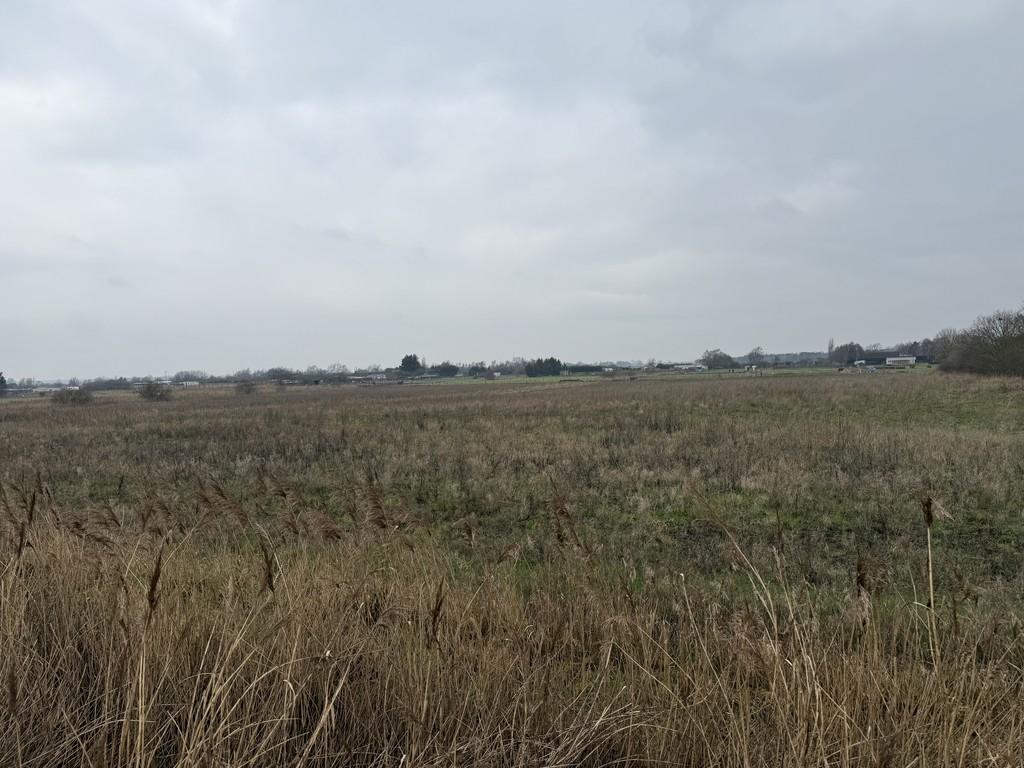 Img 0172