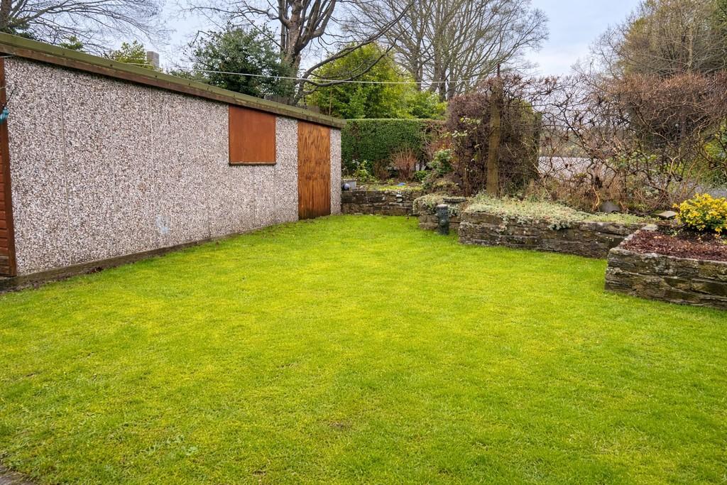 Back garden