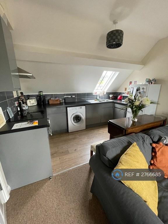 Living Room / Kitchen