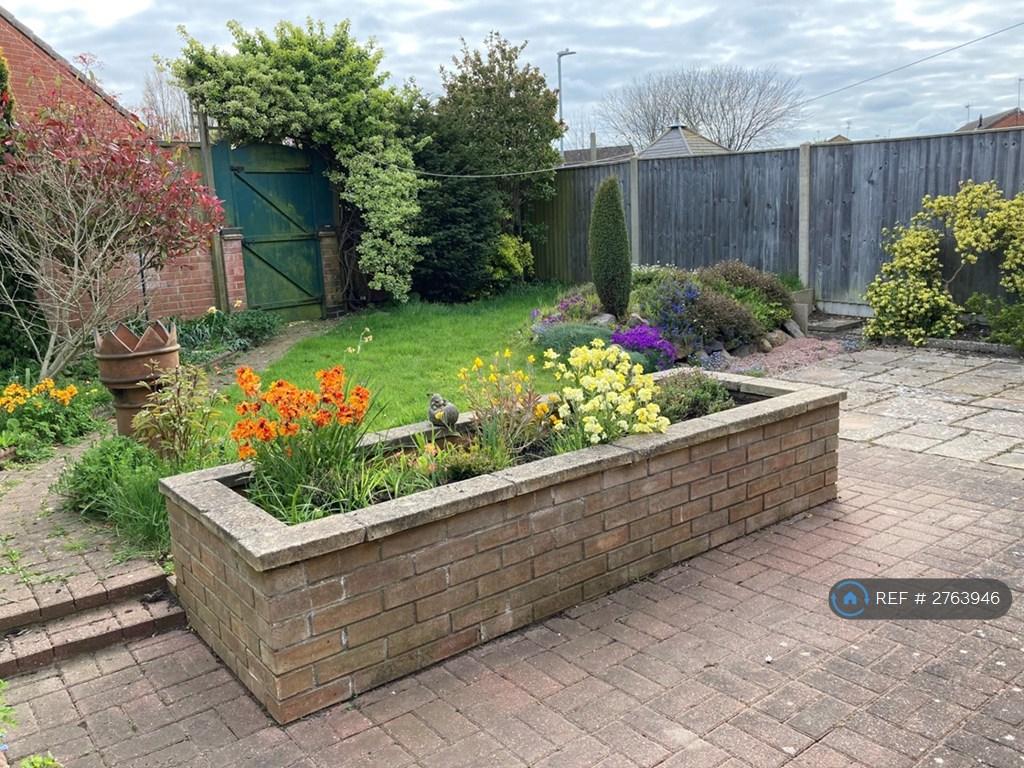 Back Garden