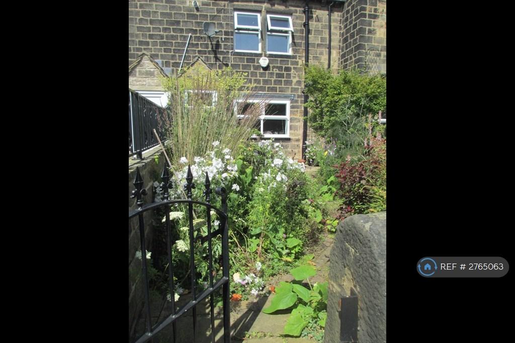South Facing Cottage Garden