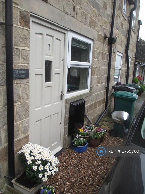 Back Door