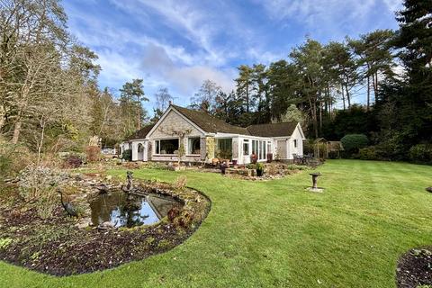 undefined, Mays Firs, Hale, Fordingbridge, Hampshire, SP6