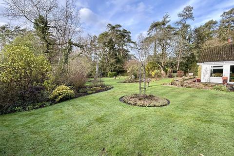 undefined, Mays Firs, Hale, Fordingbridge, Hampshire, SP6