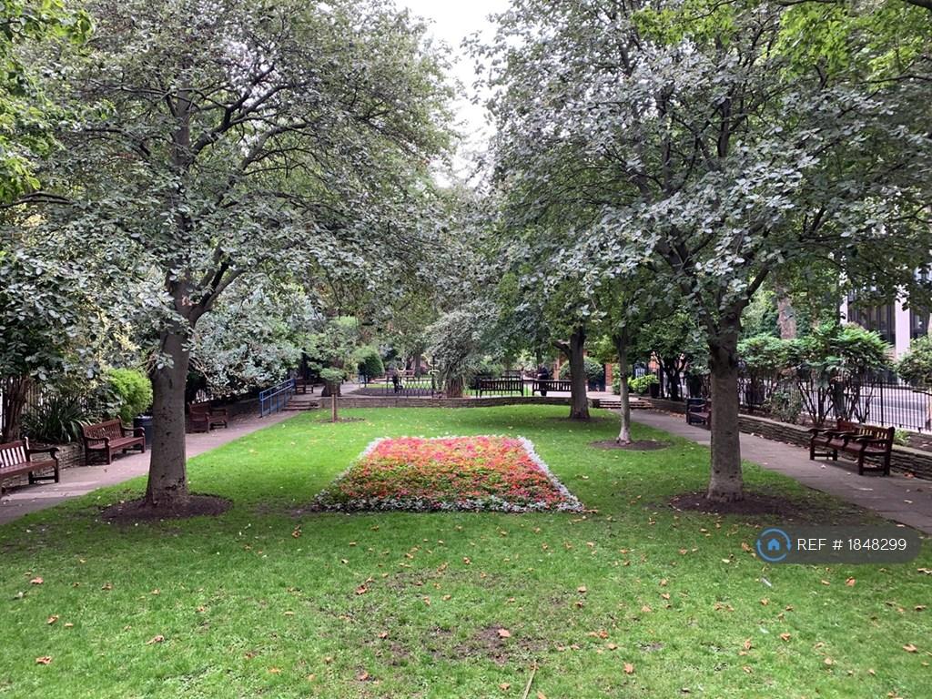 Shared Garden