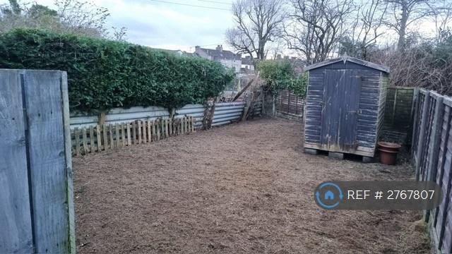 Back Garden