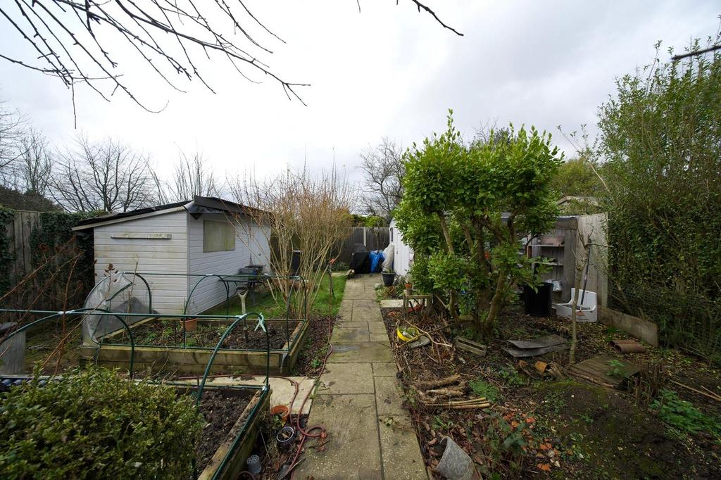 Picture 20