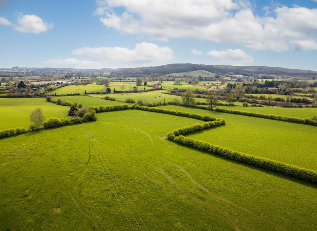 Views of Surrounding Area
