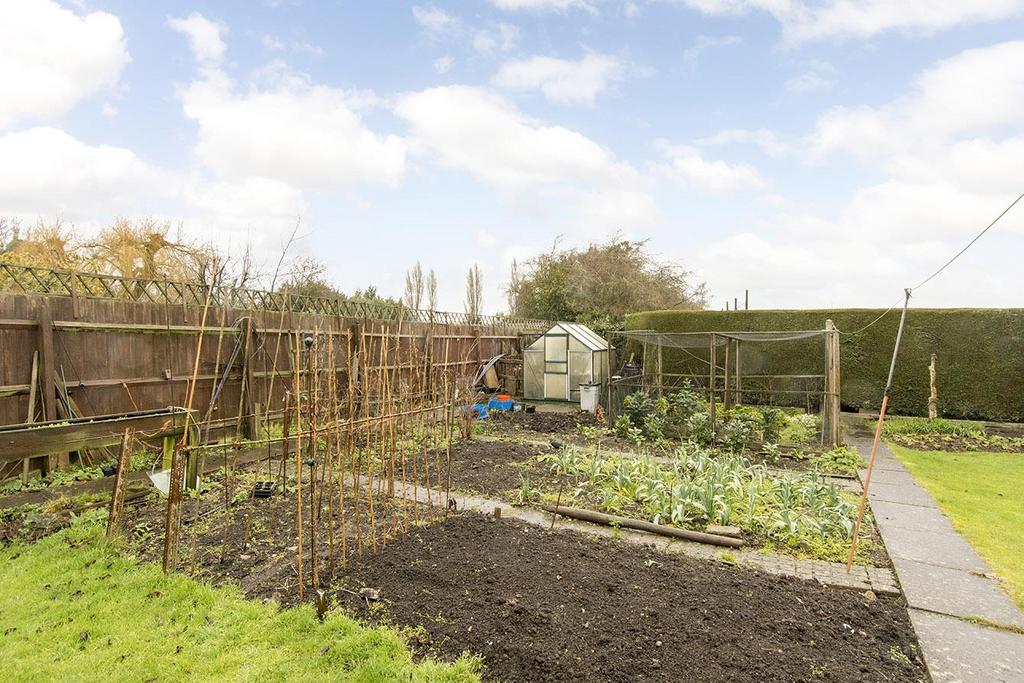 Vegetable plot