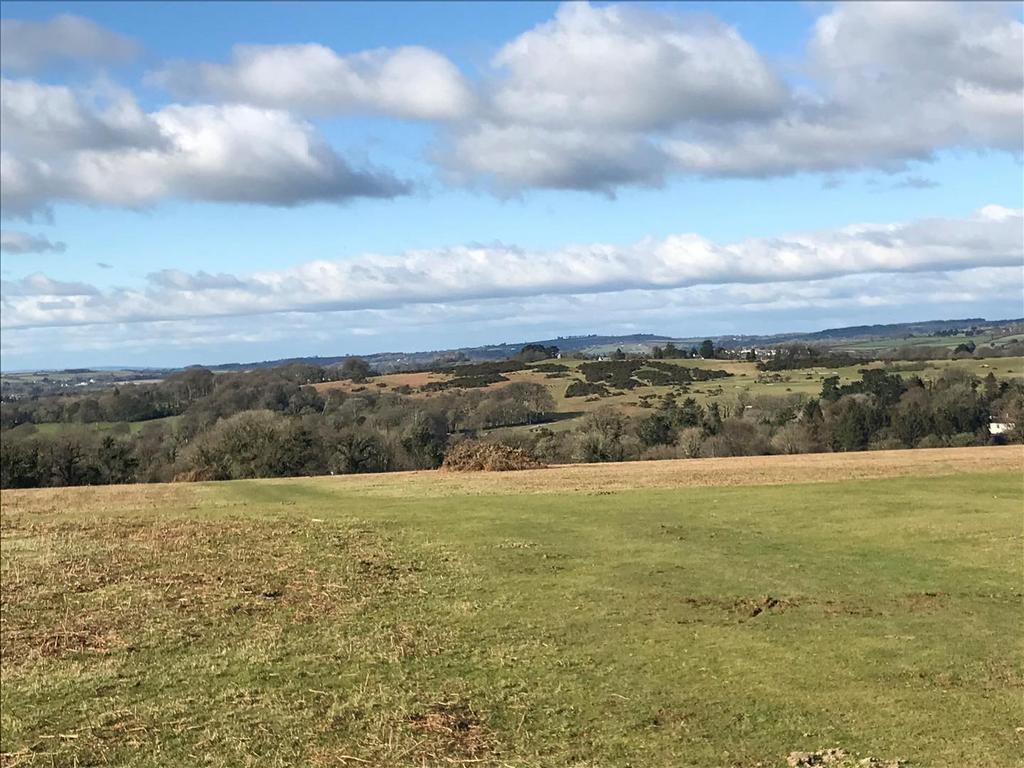 View toward Whitchurch Down.jpg