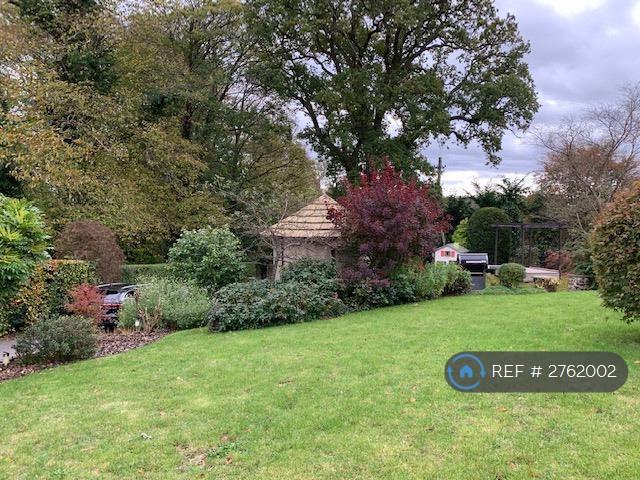 Shared Garden