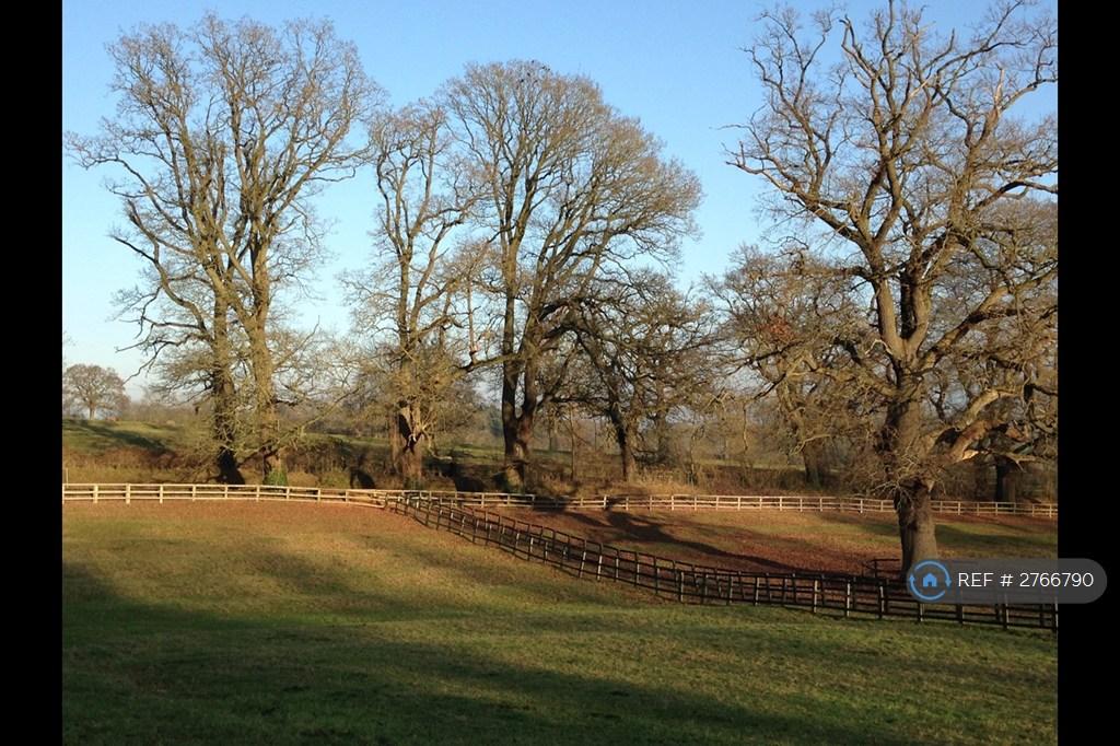 Local Landscapes
