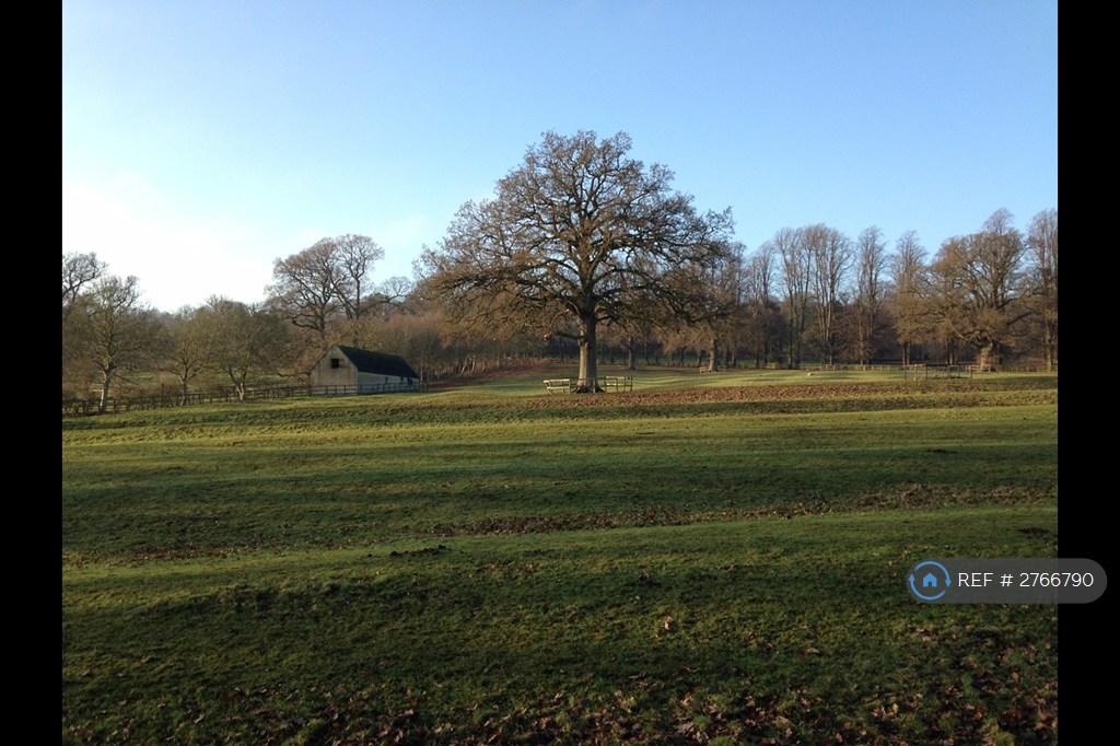 Local Landscapes