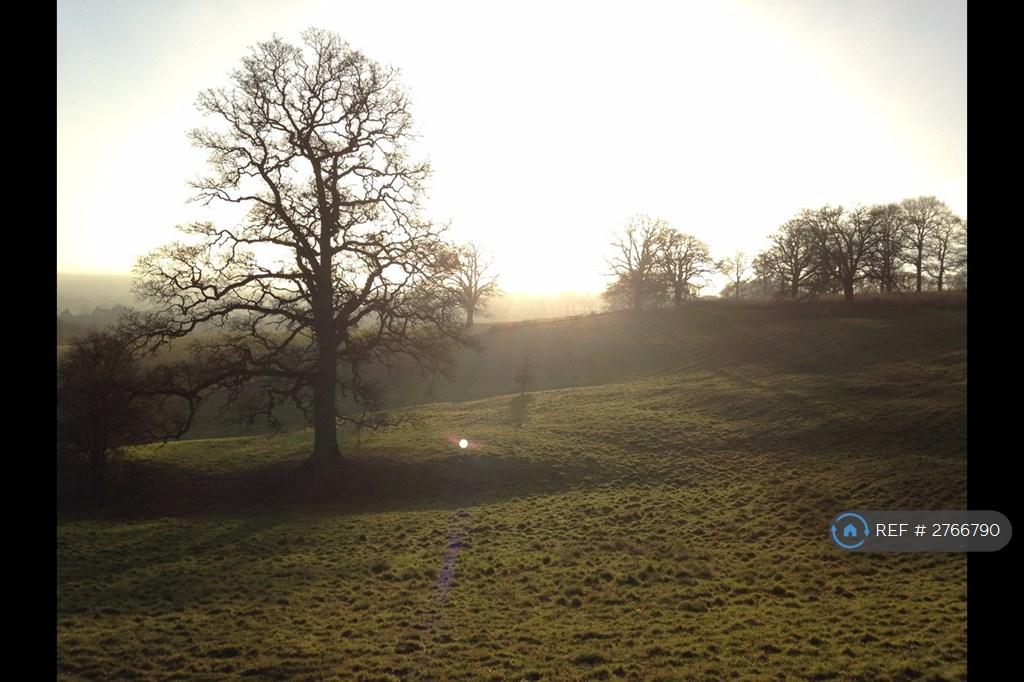 Local Landscapes